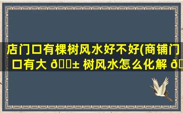 店门口有棵树风水好不好(商铺门口有大 🐱 树风水怎么化解 🐋 )